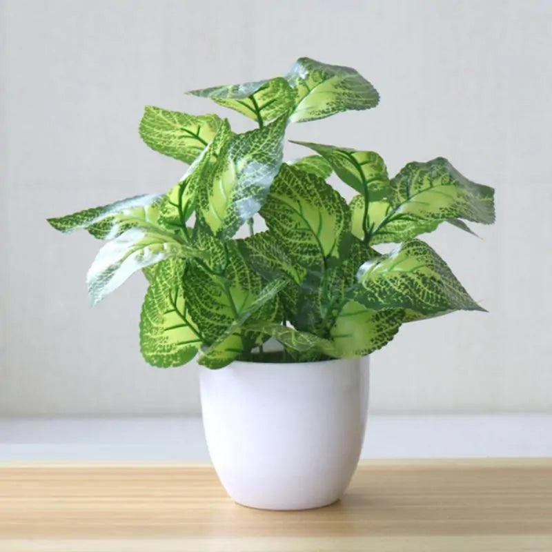 Artificial Succulent Plant - fullshopping